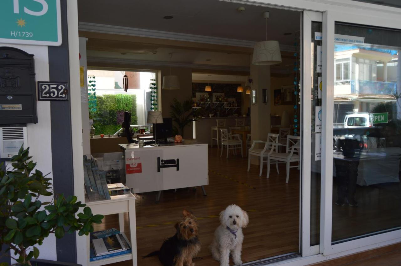 Hostal Mar Del Plata (Adults Only) El Arenal  Eksteriør bilde